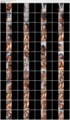 Thumbnail at https://xxxwebdlxxx.org/upload/small/2025/05/03/6815cd7245a7e.jpg