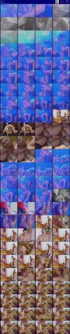Thumbnail at https://xxxwebdlxxx.org/upload/small/2026/05/06/69fb65f76882b.jpg