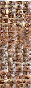 Thumbnail at https://xxxwebdlxxx.org/upload/small/2026/05/08/69fdd71f56642.jpeg