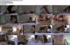 Thumbnail at https://xxxwebdlxxx.org/upload/small/2026/05/09/69ff474ec5cd6.jpg