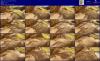 Thumbnail at https://xxxwebdlxxx.org/upload/small/2026/07/27/6a6764050322a.jpg