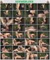 Thumbnail at https://xxxwebdlxxx.org/upload/small/2026/07/31/6a6c8e241b671.jpg
