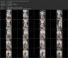 Thumbnail at https://xxxwebdlxxx.org/upload/small/2026/08/06/6a745e0b910cf.jpg