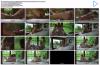 Thumbnail at https://xxxwebdlxxx.org/upload/small/2026/08/06/6a7479f31590f.jpg