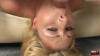 Thumbnail at https://xxxwebdlxxx.org/upload/small/2026/08/29/6a92bcd8599c9.jpg