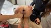Thumbnail at https://xxxwebdlxxx.org/upload/small/2026/08/31/6a957f1774e75.JPG